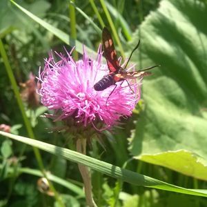 Meet your Posher, Erika